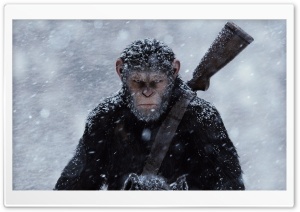 War for the Planet of the Apes 2017 Ultra HD Wallpaper for 4K UHD Widescreen desktop, tablet & smartphone