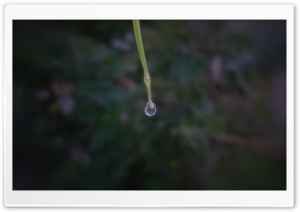 Water Drop 4K UHD Wallpaper for Widescreen and UltraWide Desktop, UltraHD TV, Smartphone, Tablet