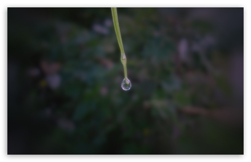 Water Drop UltraHD Wallpaper for UHD 16:9 ; HD 16:9 ; Widescreen 16:10 5:3 ; Fullscreen 4:3 ;