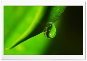 Water Drop Macro Ultra HD Wallpaper for 4K UHD Widescreen desktop, tablet & smartphone