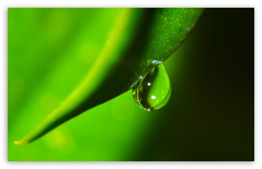 Water Drop Macro UltraHD Wallpaper for HD 16:9 ; Widescreen 16:10 5:3 ; Fullscreen 4:3 5:4 3:2 ; Tablet 1:1 ;