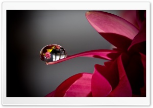 Water Drop Reflection Ultra HD Wallpaper for 4K UHD Widescreen desktop, tablet & smartphone