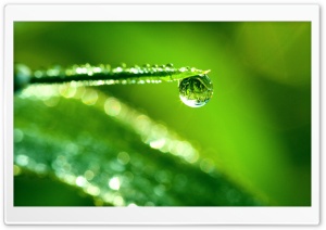 Water Drop Reflection, Macro Ultra HD Wallpaper for 4K UHD Widescreen desktop, tablet & smartphone