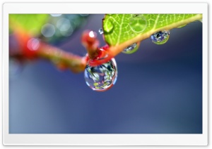 Water Drop Super Macro Ultra HD Wallpaper for 4K UHD Widescreen desktop, tablet & smartphone
