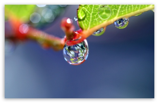 Water Drop Super Macro UltraHD Wallpaper for HD 16:9 ; Widescreen 16:10 5:3 ; Fullscreen 4:3 5:4 3:2 ; Dual 5:4 ;