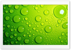 Water, Drops, Green Ultra HD Wallpaper for 4K UHD Widescreen desktop, tablet & smartphone