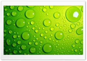 Water, Drops, Green Ultra HD Wallpaper for 4K UHD Widescreen Desktop, Lockscreen, Screensaver, TV, Tablet, Smartphone