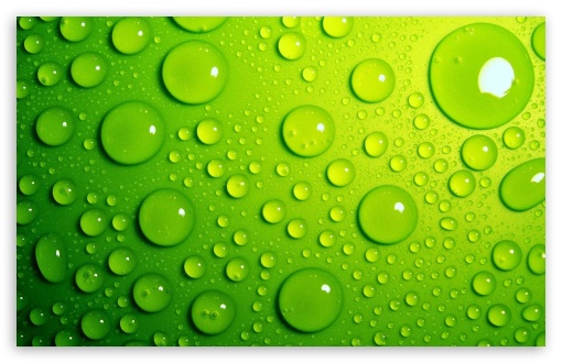 Water, Drops, Green UltraHD Wallpaper for Widescreen 16:10 ;