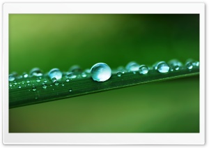 Water Drops, Macro Ultra HD Wallpaper for 4K UHD Widescreen desktop, tablet & smartphone