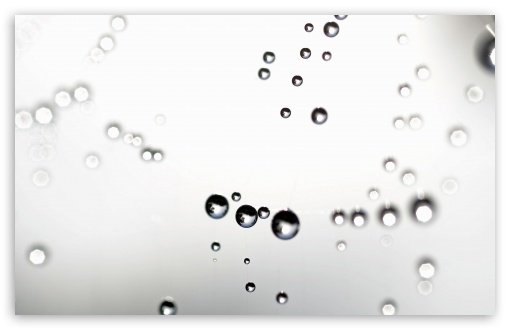 Water Drops On Spider Web Macro UltraHD Wallpaper for UHD 16:9 ; HD 16:9 ; UltraWide 21:9 24:10 32:9 32:10 ; Widescreen 16:10 5:3 ; Fullscreen 4:3 5:4 3:2 ; Tablet 1:1 ; Mobile 9:16 9:19.5 9:20 10:16 2:3 3:5 3:4 ; Dual 16:10 5:3 16:9 4:3 5:4 3:2 ;