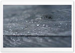Water Drops On Wood Ultra HD Wallpaper for 4K UHD Widescreen desktop, tablet & smartphone