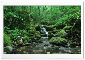Water Stream Ultra HD Wallpaper for 4K UHD Widescreen desktop, tablet & smartphone