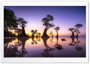 Water Trees, Dusk 4K UHD Wallpaper for Widescreen and UltraWide Desktop, UltraHD TV, Smartphone, Tablet