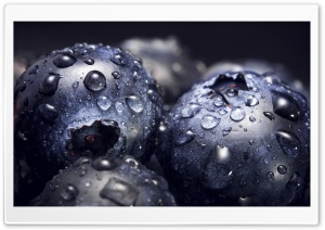 Waterdrops on Blueberries, Macro Ultra HD Wallpaper for 4K UHD Widescreen desktop, tablet & smartphone