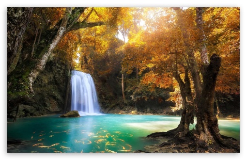 Beautiful Waterfall Wallpaper Images - Free Download on Freepik-kimdongho.edu.vn