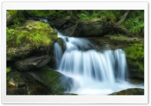 Waterfall and Green Forest Ultra HD Wallpaper for 4K UHD Widescreen Desktop, Lockscreen, Screensaver, TV, Tablet, Smartphone