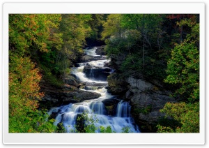 Waterfall, Forest, Nature Ultra HD Wallpaper for 4K UHD Widescreen Desktop, Lockscreen, Screensaver, TV, Tablet, Smartphone