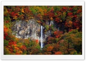 Waterfall, Forest Trees, Autumn 4K UHD Wallpaper for Widescreen and UltraWide Desktop, UltraHD TV, Smartphone, Tablet