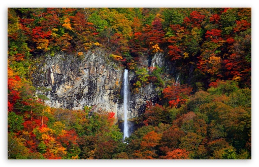 Waterfall, Forest Trees, Autumn UltraHD Wallpaper for UHD 16:9 ; HD 16:9 ; UltraWide 21:9 24:10 32:9 32:10 ; Widescreen 16:10 5:3 ; Fullscreen 4:3 5:4 3:2 ; Tablet 1:1 ; Mobile 9:16 9:19.5 9:20 9:21 9:22 10:16 2:3 3:5 3:4 ; Dual 16:10 5:3 16:9 4:3 5:4 3:2 ;