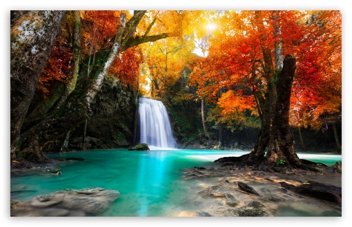 Waterfall, Orange Trees, Autumn UltraHD Wallpaper for HD 16:9 ; UltraWide 21:9 24:10 ; Widescreen 16:10 5:3 ; Fullscreen 4:3 5:4 3:2 ; Tablet 1:1 ; Mobile 9:16 9:19.5 9:20 10:16 2:3 3:5 3:4 ;