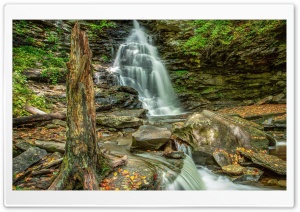 Waterfalls Rocks Moss Ultra HD Wallpaper for 4K UHD Widescreen Desktop, Lockscreen, Screensaver, TV, Tablet, Smartphone