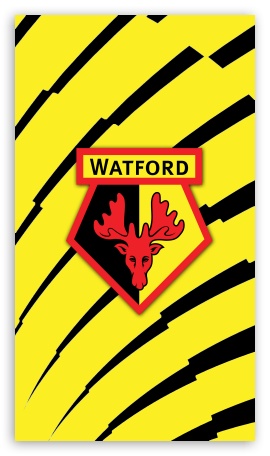 Watford Premier League 1617 iPhone UltraHD Wallpaper for Smartphone 16:9 2160p 1440p 1080p 900p 720p ; Mobile 16:9 - 2160p 1440p 1080p 900p 720p ;