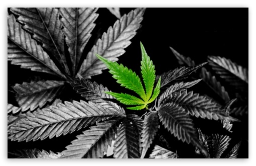 Marijuana Weed Joint Ganja Pothead Stone Wallpaper by Brob | Society6
