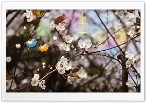 Welcome Spring Ultra HD Wallpaper for 4K UHD Widescreen desktop, tablet & smartphone