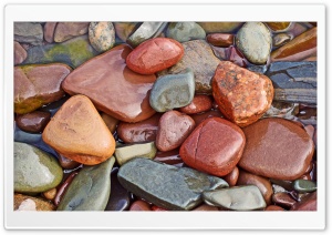 Wet Pebbles Ultra HD Wallpaper for 4K UHD Widescreen desktop, tablet & smartphone