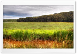 Wetland Ultra HD Wallpaper for 4K UHD Widescreen desktop, tablet & smartphone