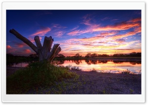Wetlands Panorama Ultra HD Wallpaper for 4K UHD Widescreen desktop, tablet & smartphone