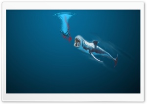 Whale Ultra HD Wallpaper for 4K UHD Widescreen desktop, tablet & smartphone