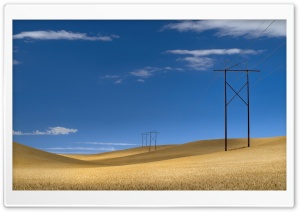 Wheat Fields and Powerlines in the Countryside 4K UHD Wallpaper for Widescreen and UltraWide Desktop, UltraHD TV, Smartphone, Tablet