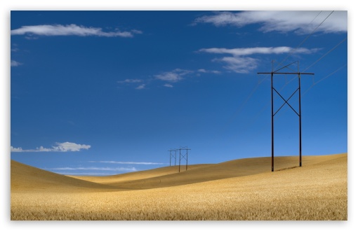 Wheat Fields and Powerlines in the Countryside UltraHD Wallpaper for UHD 16:9 ; HD 16:9 ; UltraWide 21:9 24:10 ; Widescreen 16:10 ; Tablet 1:1 ; Mobile 9:16 9:19.5 9:20 9:21 9:22 ;