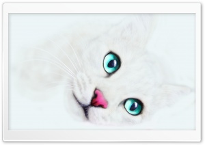 White Cat Background Ultra HD Wallpaper for 4K UHD Widescreen desktop, tablet & smartphone