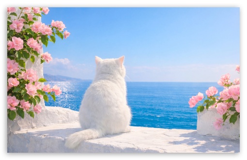 White Cat on Mediterranean Porch Facing the Sea UltraHD Wallpaper for UHD 16:9 ; HD 16:9 ; UltraWide 21:9 24:10 32:9 32:10 ; Widescreen 16:10 ; Tablet 1:1 ; Mobile 9:16 9:19.5 9:20 9:21 9:22 ; Dual 16:10 16:9 ;