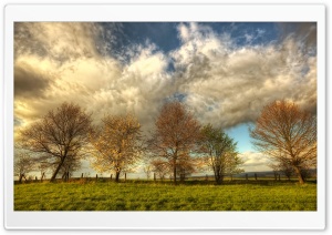 White Clouds, HDR Ultra HD Wallpaper for 4K UHD Widescreen desktop, tablet & smartphone