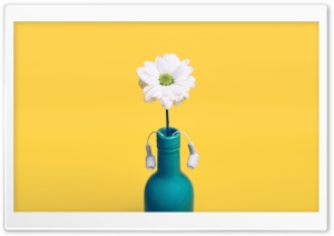 White Daisy in a blue bottle, Yellow Background Ultra HD Wallpaper for 4K UHD Widescreen desktop, tablet & smartphone