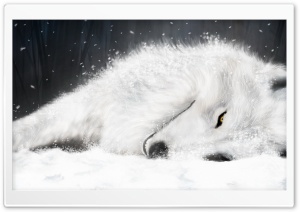 White Fantasy Wolf Ultra HD Wallpaper for 4K UHD Widescreen desktop, tablet & smartphone