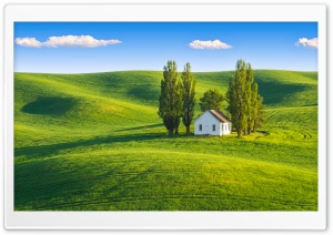 White House Among Poplars on Green Rolling Hills 4K UHD Wallpaper for Widescreen and UltraWide Desktop, UltraHD TV, Smartphone, Tablet