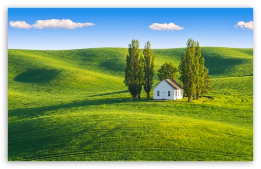 White House Among Poplars on Green Rolling Hills UltraHD Wallpaper for UHD 16:9 ; HD 16:9 ; UltraWide 21:9 24:10 32:9 32:10 ; Widescreen 16:10 ; Tablet 1:1 ; Mobile 9:16 9:19.5 9:20 9:21 9:22 ; Dual 16:10 16:9 ;
