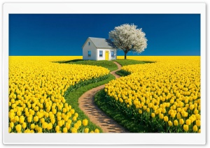 White House in a Yellow Tulip Flower Field 4K UHD Wallpaper for Widescreen and UltraWide Desktop, UltraHD TV, Smartphone, Tablet