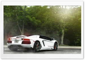White Lamborghini Miami Ultra HD Wallpaper for 4K UHD Widescreen desktop, tablet & smartphone