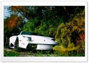 White Lamborghini Murcielago Ultra HD Wallpaper for 4K UHD Widescreen desktop, tablet & smartphone