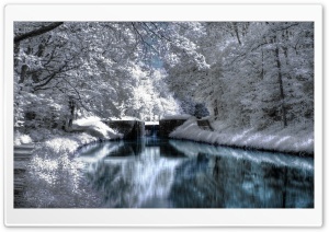 White Landscape Ultra HD Wallpaper for 4K UHD Widescreen desktop, tablet & smartphone