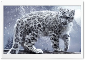 White Leopard Ultra HD Wallpaper for 4K UHD Widescreen desktop, tablet & smartphone