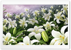 White Lilies Ultra HD Wallpaper for 4K UHD Widescreen desktop, tablet & smartphone
