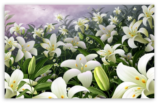 white lilies wallpaper