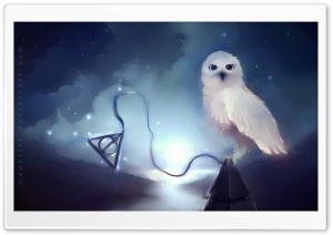White Owl Painting Ultra HD Wallpaper for 4K UHD Widescreen desktop, tablet & smartphone