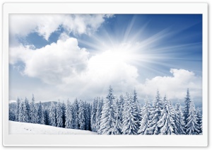 White Paradise Ultra HD Wallpaper for 4K UHD Widescreen desktop, tablet & smartphone